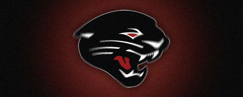 Jaguar Football Banner