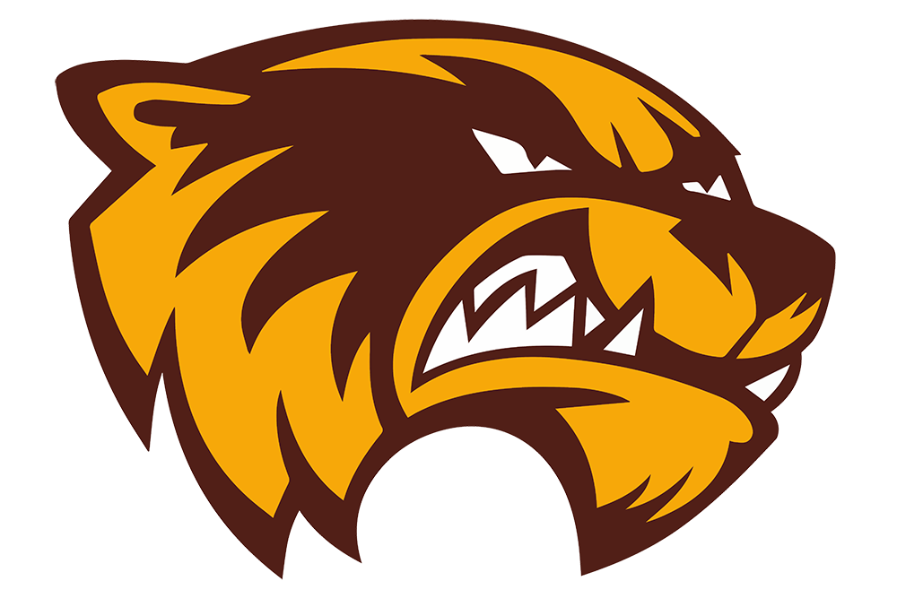 Tolleson Wolverines Football